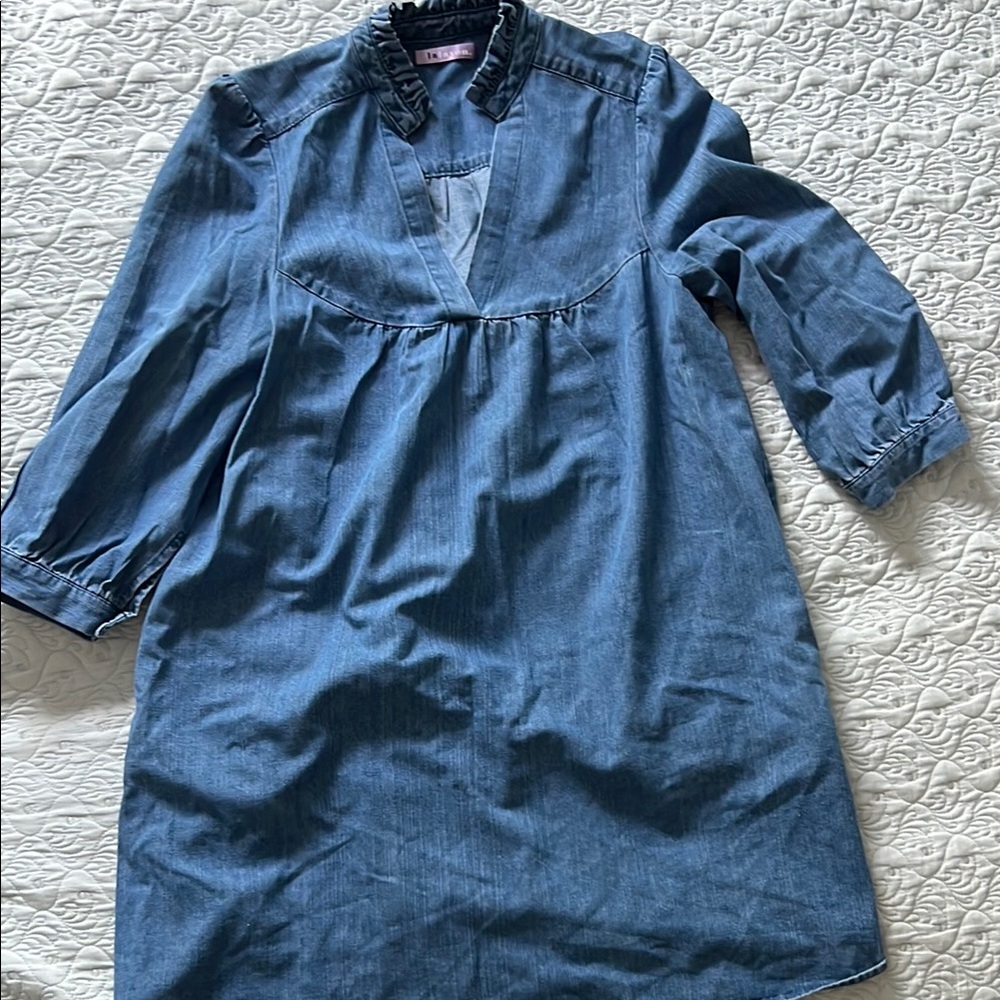 LaLavon Denim Mini Dress